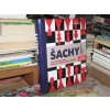 Šachy (Jak pochopit hru pomocí ilustrovaných schémat)