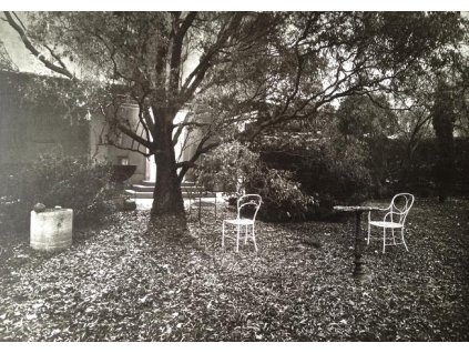 24. Josef Sudek - Kouzelná zahrádka, 1955