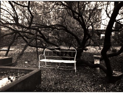 42. Josef Sudek - Podzim v zahrádce