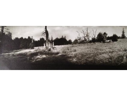 49. Janáčkovy Hukvaldy, 1965