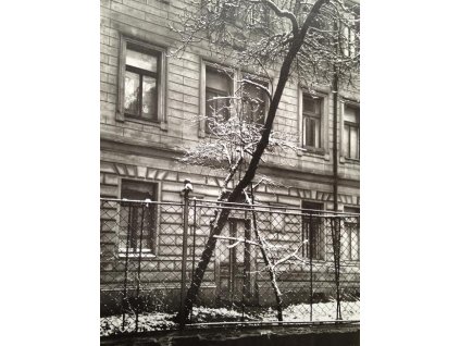 31. Josef Sudek - Na našem dvoře, 1970
