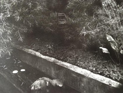 22. Josef Sudek - V kouzelné zahrádce, 1959