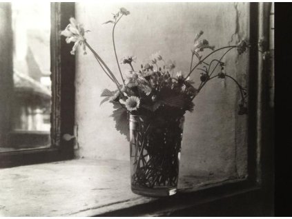 19. Josef Sudek - Kytička lučních květin