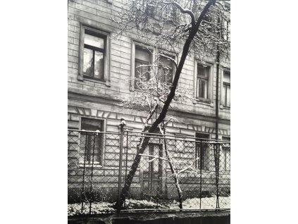 30. Josef Sudek - Na našem dvoře, 1970