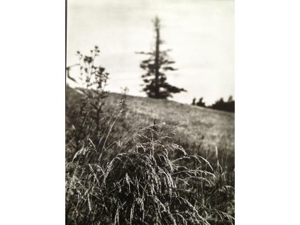 28. Josef Sudek - Procházka po Mionši, 1968