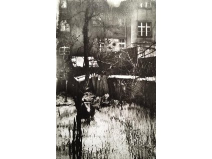 29. Josef Sudek - Okna mého ateliéru, 1954