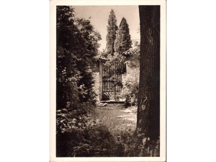 07. Josef Sudek - Benediktinské opatství v Břevnov - Pohled na hřbitov