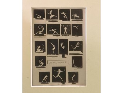 25.3.2019 1dd e1647954056809