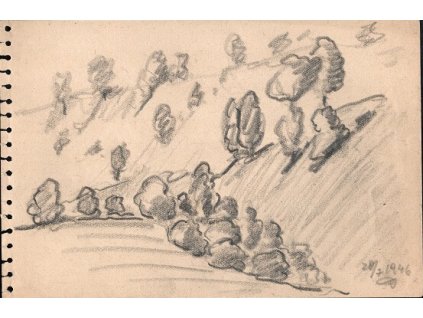 12. František Drtikol - Krajina se stromy