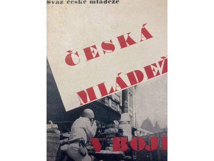 Česká mládež v boji