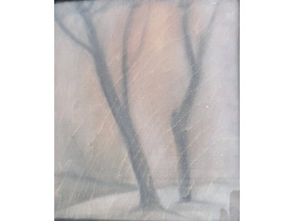 21EC51B5 3A9A 41C3 8649 387DE829415F scaled e1692969030616