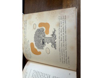 Astrid Lindgren - Děti z Bullerbynu