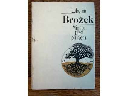 Lubomír Brožek - Minutu před přílivem