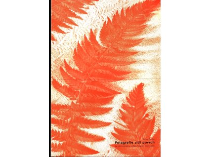 05. Jaromír Funke - Fotografie vidí povrch