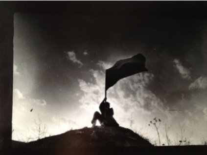 2638IMG 20200506 105508