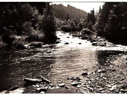 84. ŠUMAVA-POVYDŘÍ/Karel Plicka