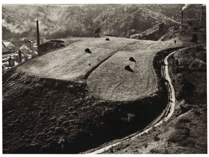 NYR 12870 0035 007 1