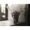 19. Josef Sudek - Kytička lučních květin