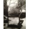 16. Josef Sudek - Výhled z okna mého ateliéru