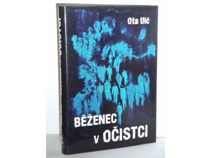 Běženec v očistci