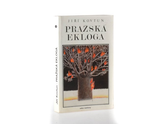 Pražská ekloga : román o 14 obrazech