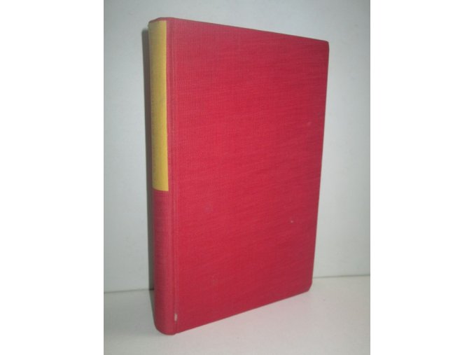 Don Quijote na rozcestí