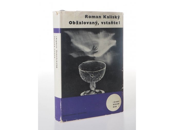 Obžalovaný, vstaňte! (1964)