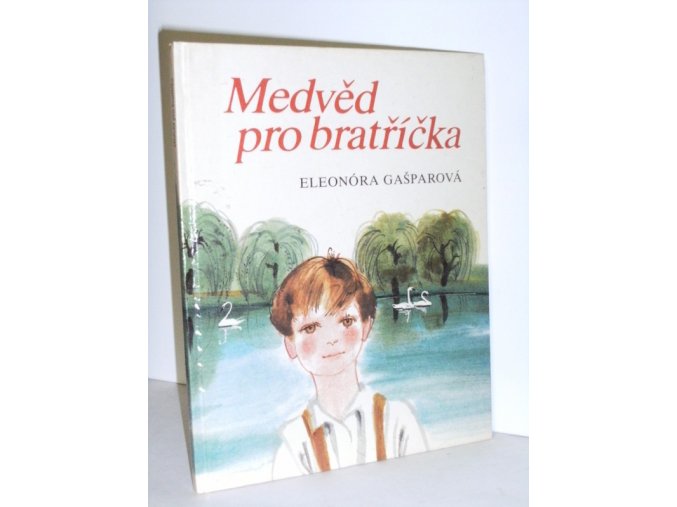 Medvěd pro bratříčka