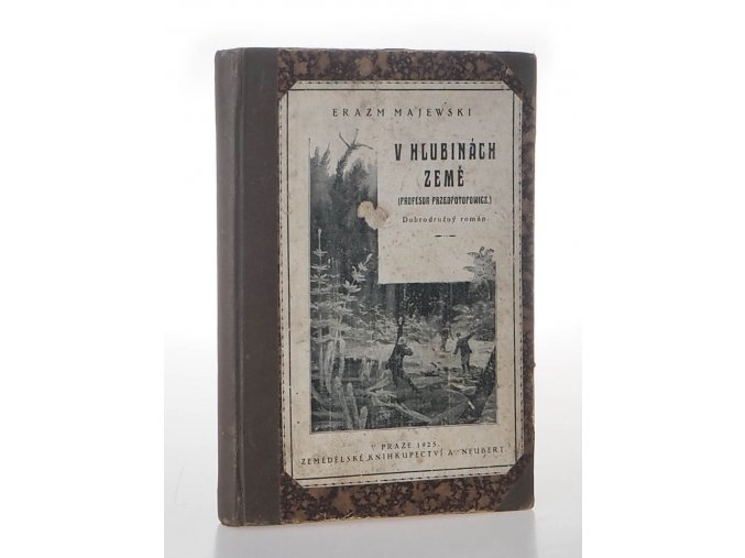 V hlubinách země : Profesor Przeopotopowicz : Dobrodružné příhody dvou Poláků a jednoho Angličana