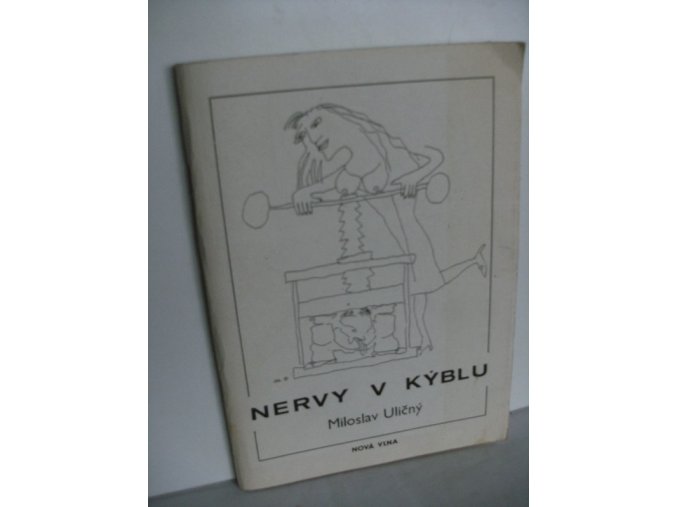 Nervy v kýblu : songy z let 1960-1990