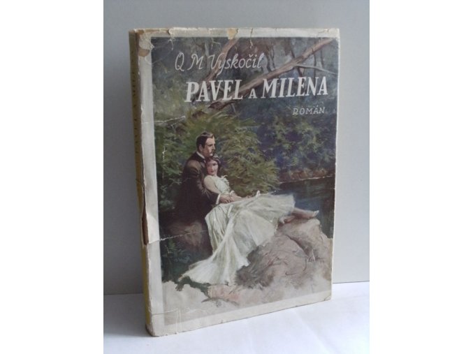 Pavel a Milena : Román