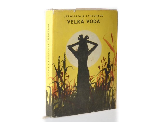 Velká voda