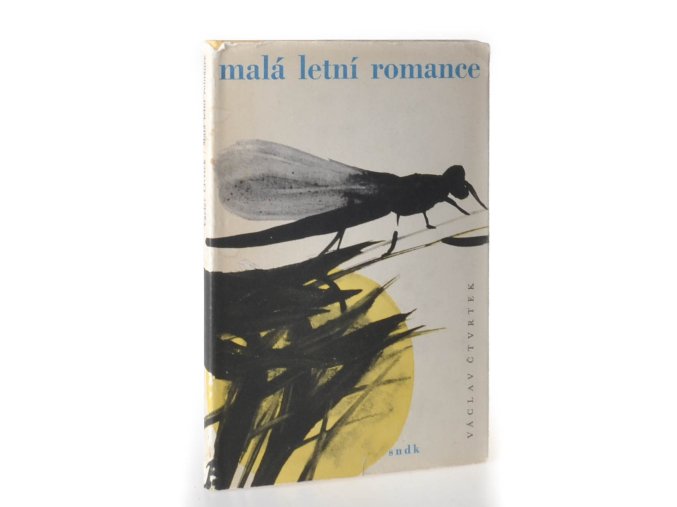 Malá letní romance