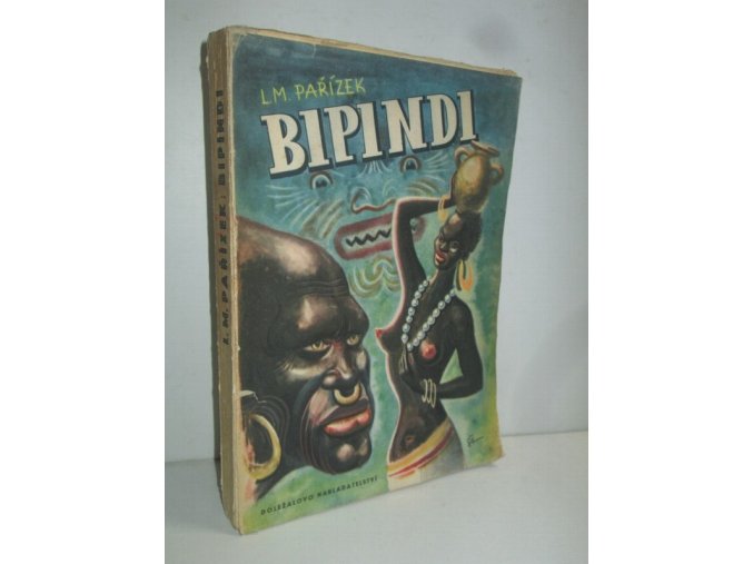 Bipindi-černošský román