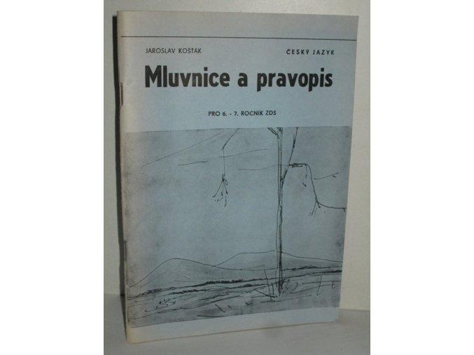 Český jazyk : mluvnice a pravopis : souhrn pro žáky 6. a 7. tříd základních devítiletých škol