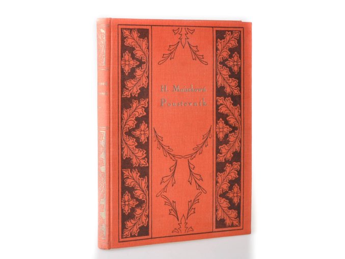 Poustevník : román