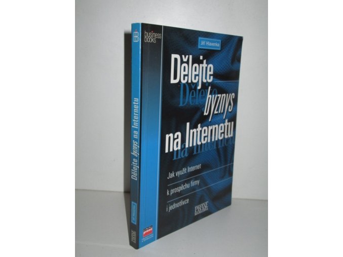 Dělejte byznys na Internetu : jak využít Internet k prospěchu firmy i jednotlivce