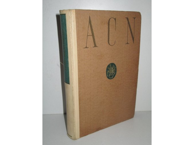 Raimund Chalupník : dosud ne román (1941)