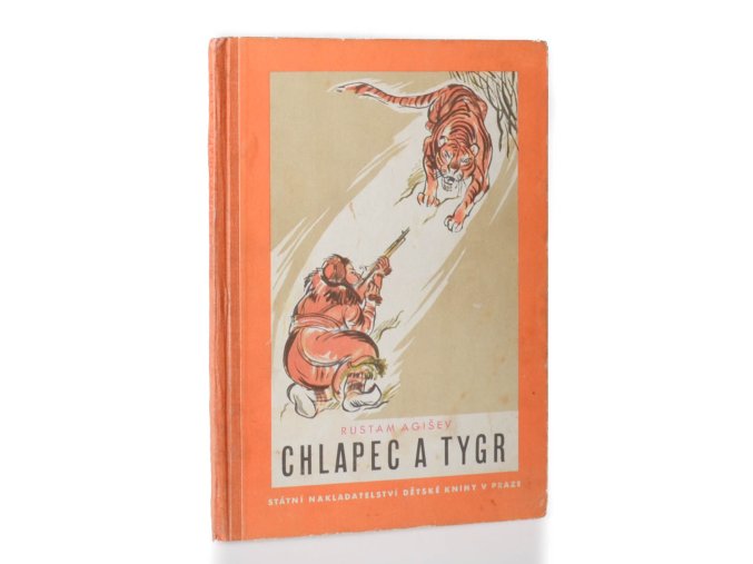 Chlapec a tygr