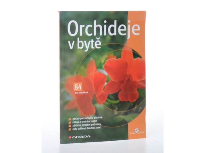 Orchideje v bytě