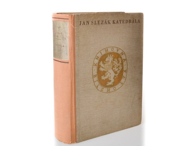 Katedrála : Gotické fresky : Historický román