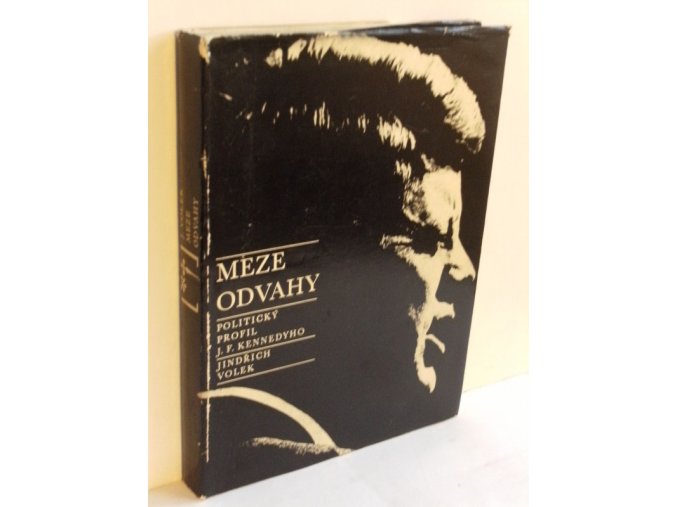 Meze odvahy : Politický profil J.F. Kennedyho