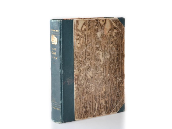 Čest rodiny : román