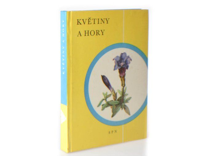 Květiny a hory