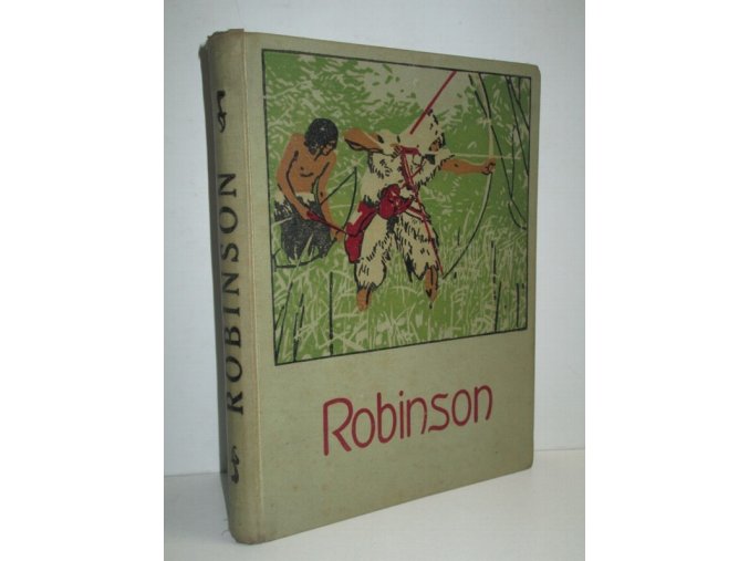 Robinson Krusoe : Dobrodružné příběhy jinocha na pustém ostrově