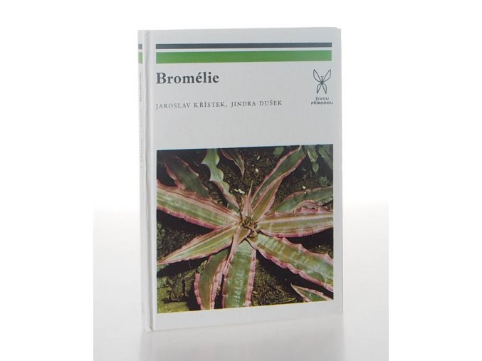 Bromélie