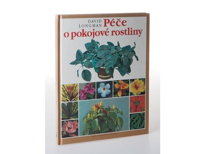 Péče o pokojové rostliny