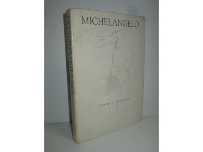 Michelangelo Buonarroti : život a dílo