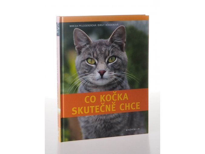 Co kočka skutečně chce