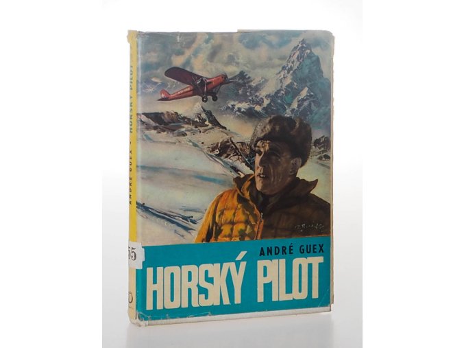 Horský pilot